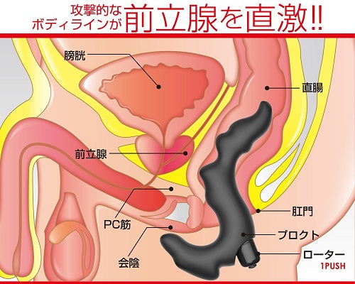 japanese onahole