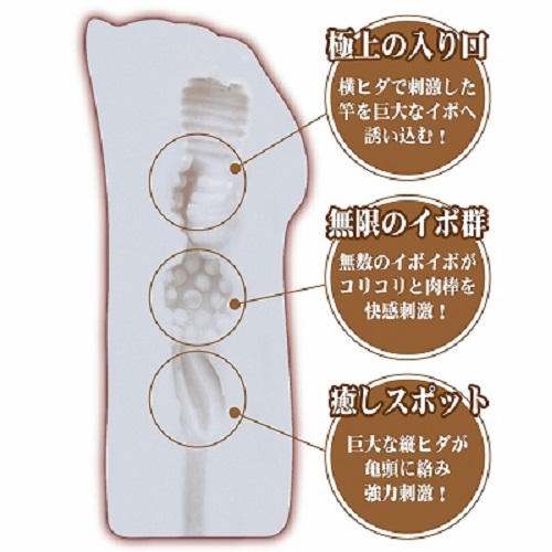 japanese onahole