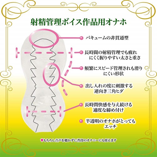 onahole japan