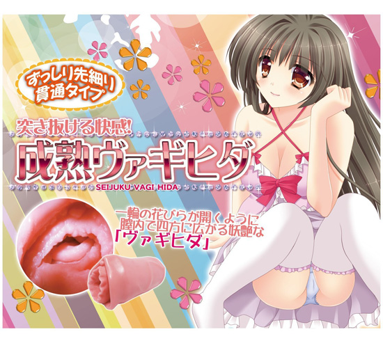 onahole japan