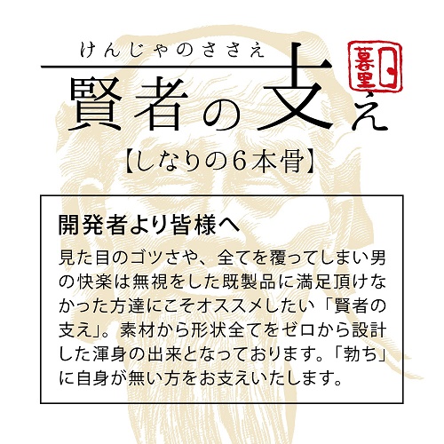 onahole japan