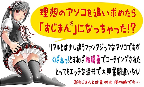 onahole japan