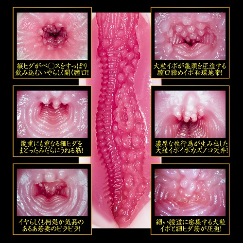 onahole japan