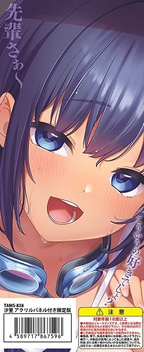 onahole japan